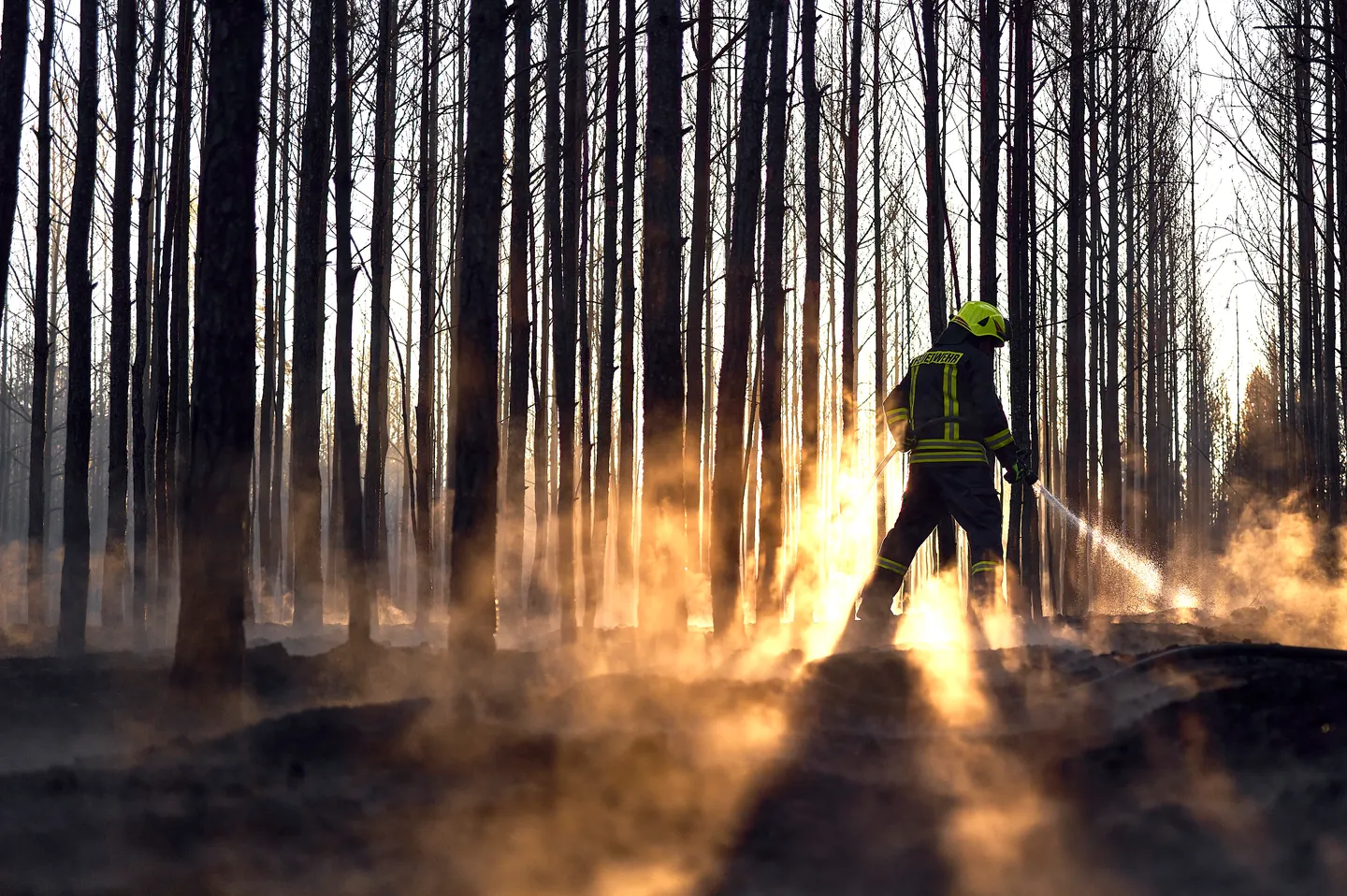 Waldbrände in Brandenburg - Ortsteil kurzzeitig evakuiert