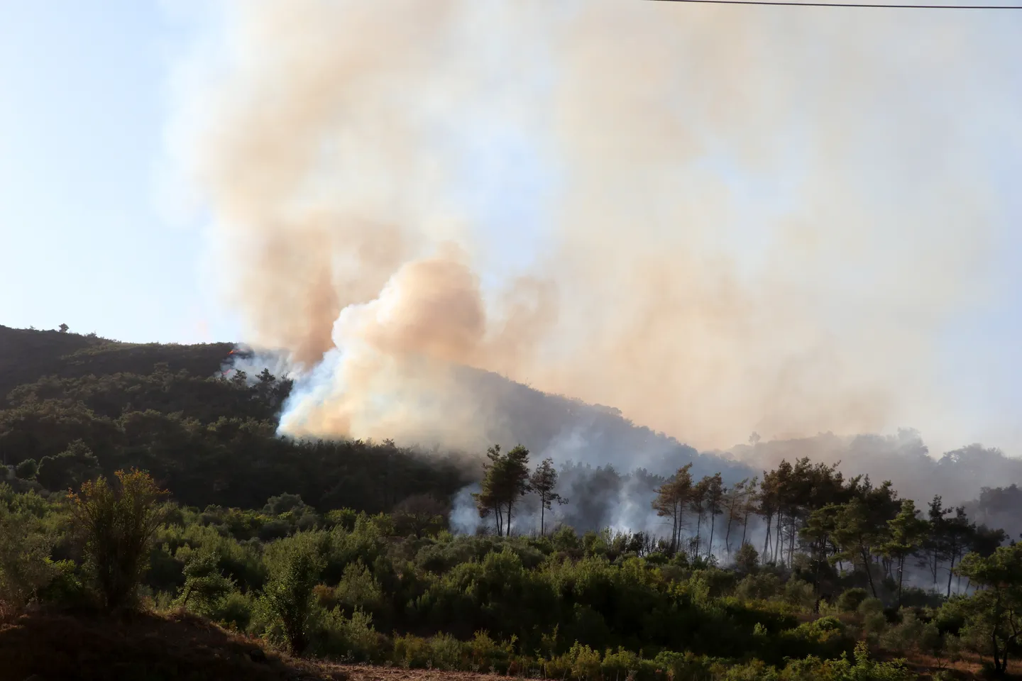 Syria battles forest fires for third day as Türkiye sends help