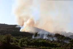 Syria battles forest fires for third day as Türkiye sends help