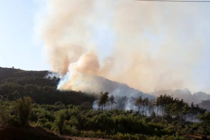 Syria battles forest fires for third day as Türkiye sends help