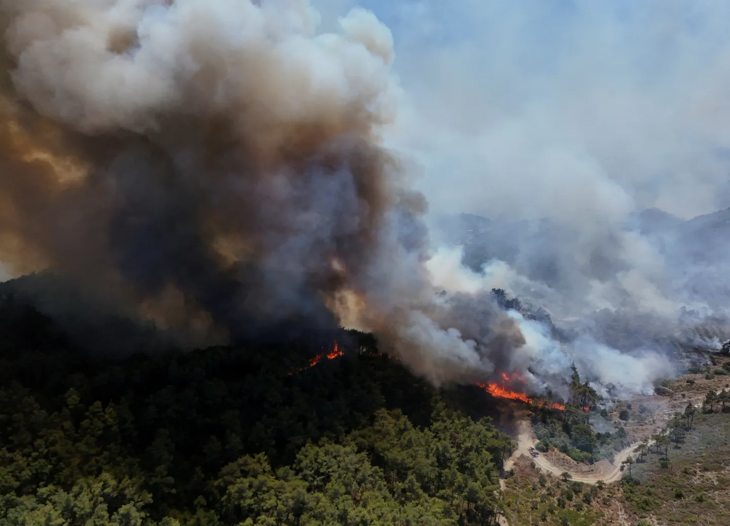 Syria seeks EU support to contain raging wildfires in Latakia