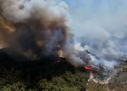 Syria seeks EU support to contain raging wildfires in Latakia