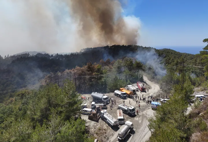 After seven days of flames, Syria contains Latakia wildfires