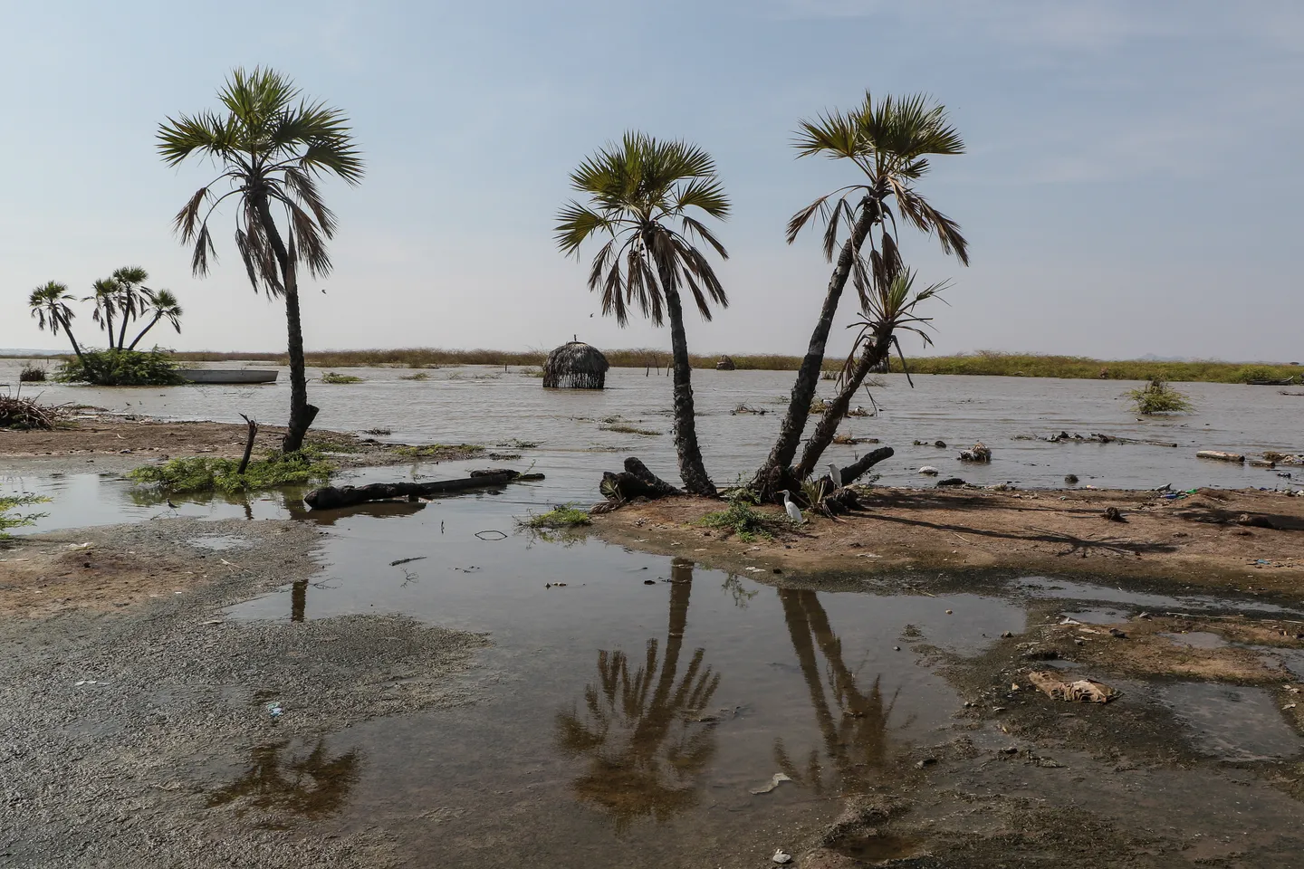 Tuvalu today, world tomorrow: Why global refugee laws are failing victims of climate crisis?