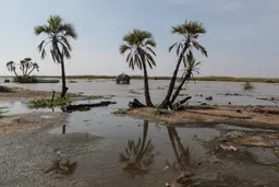 Tuvalu today, world tomorrow: Why global refugee laws are failing victims of climate crisis?