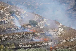 Palestinian-American beaten to death by illegal Zionist settlers in occupied West Bank