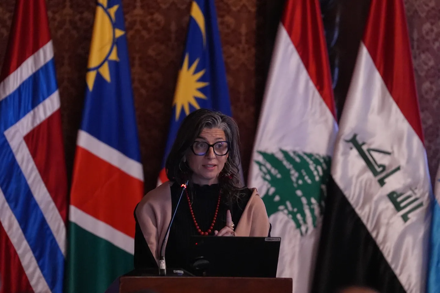 Gaza: la rapporteuse de l'ONU, Francesca Albanese, favorable à une action mondiale contre Israël pou