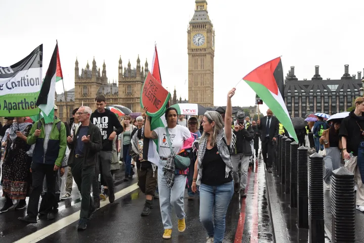 Dozens of pro-Palestine protesters arrested in UK after Palestine Action ban