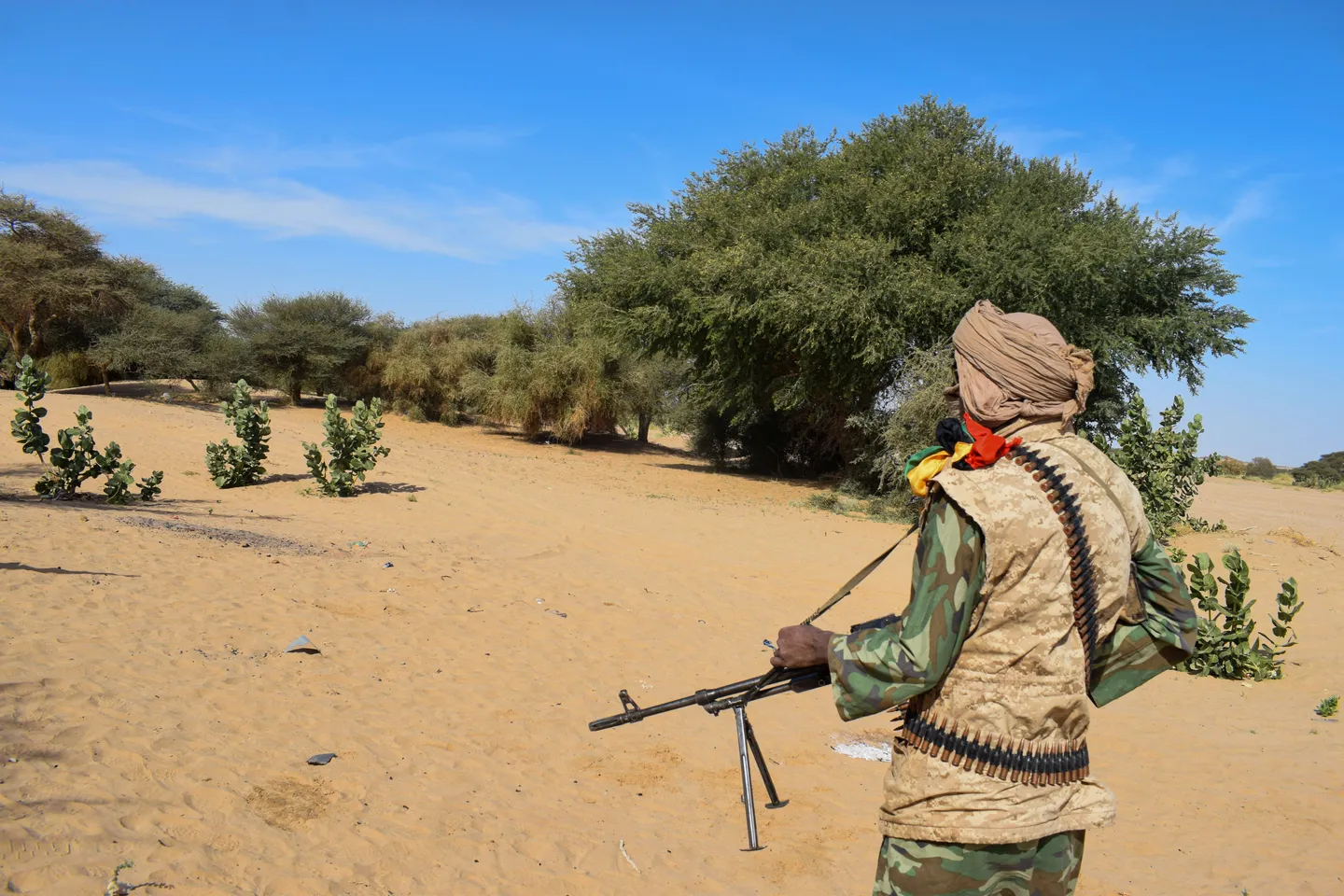 Malian army neutralises key Daesh terrorist leader