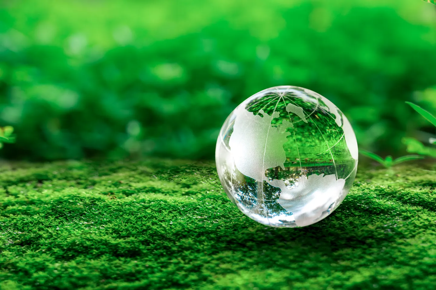 Klimaschutz trifft Wirtschaft: Türkiye rüstet sich für den EU-Klimazoll