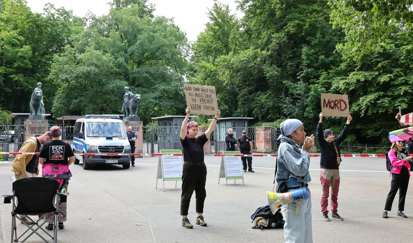 Proteste gegen Pavian-Tötung - Tiergarten für einen Tag zu