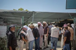 Colonos israelíes matan a activista palestino en Cisjordania ocupada, mientras violencia se dispara
