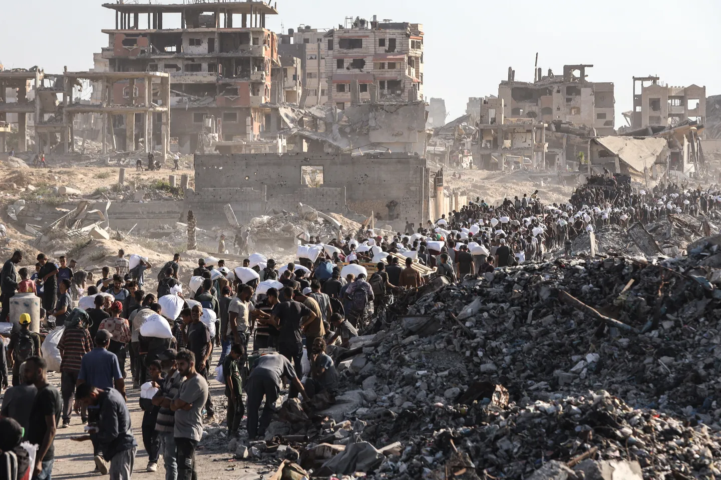 Turkish, Egyptian FMs discuss efforts to counter Israeli-enforced Gaza starvation