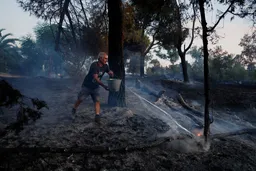 France, Spain, Portugal on wildfire alert amid heatwave