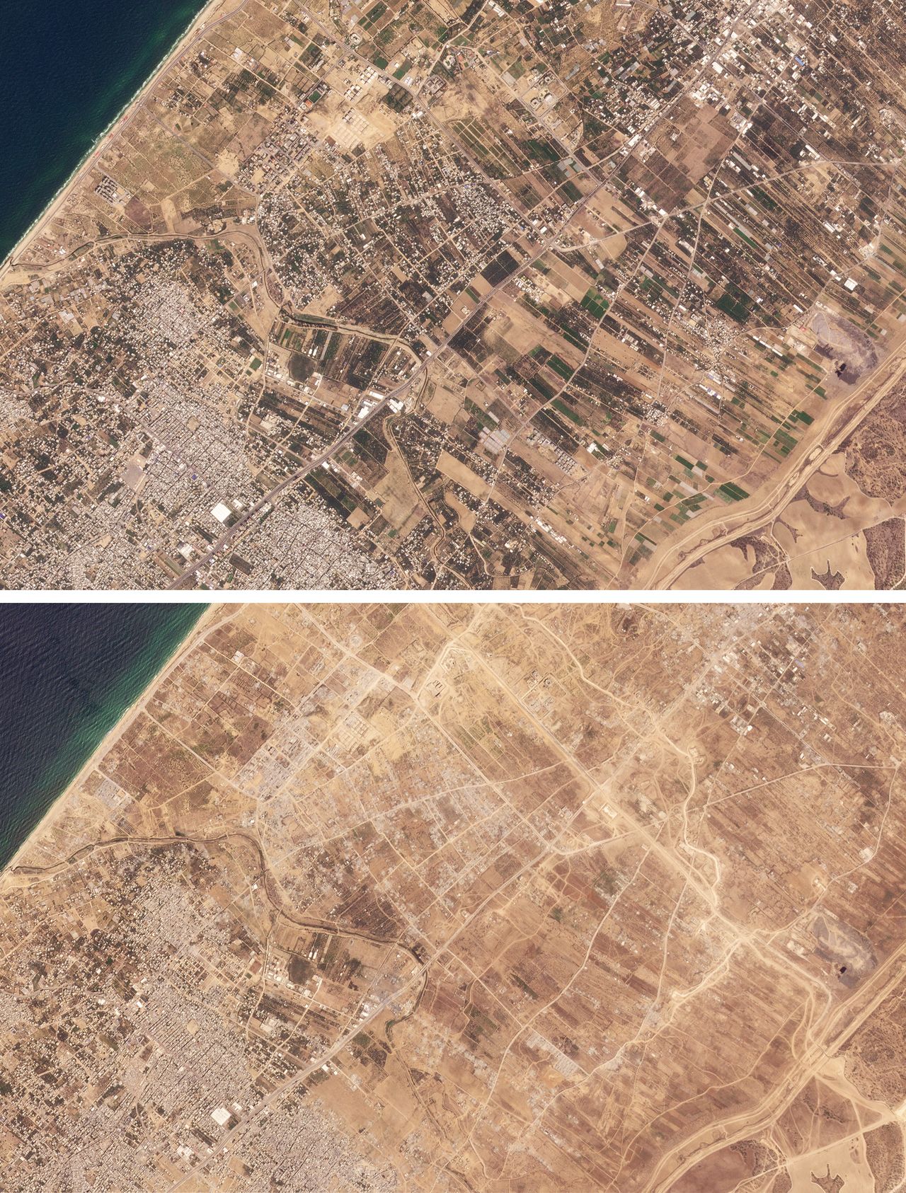 Just 2 square kilometres of Gaza's farmland is usable: UN - TRT World