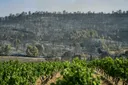 Sud de la France: le plus gros incendie de l'été progresse toujours