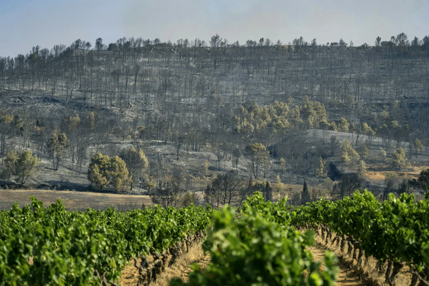 Sud de la France: le plus gros incendie de l'été progresse toujours