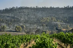 Sud de la France: le plus gros incendie de l'été progresse toujours