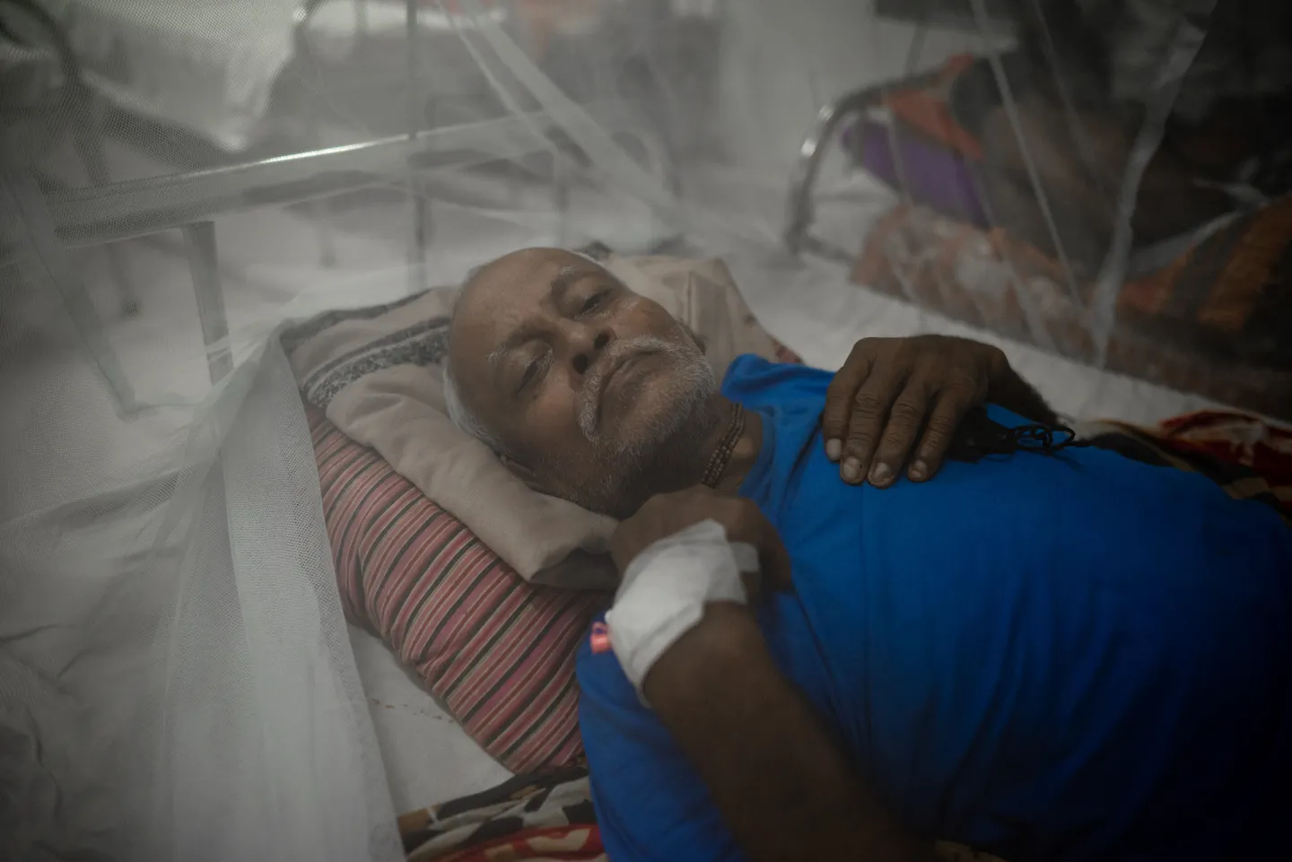 Deaths from dengue rise to 101 in Bangladesh as three more people die