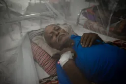 Deaths from dengue rise to 101 in Bangladesh as three more people die