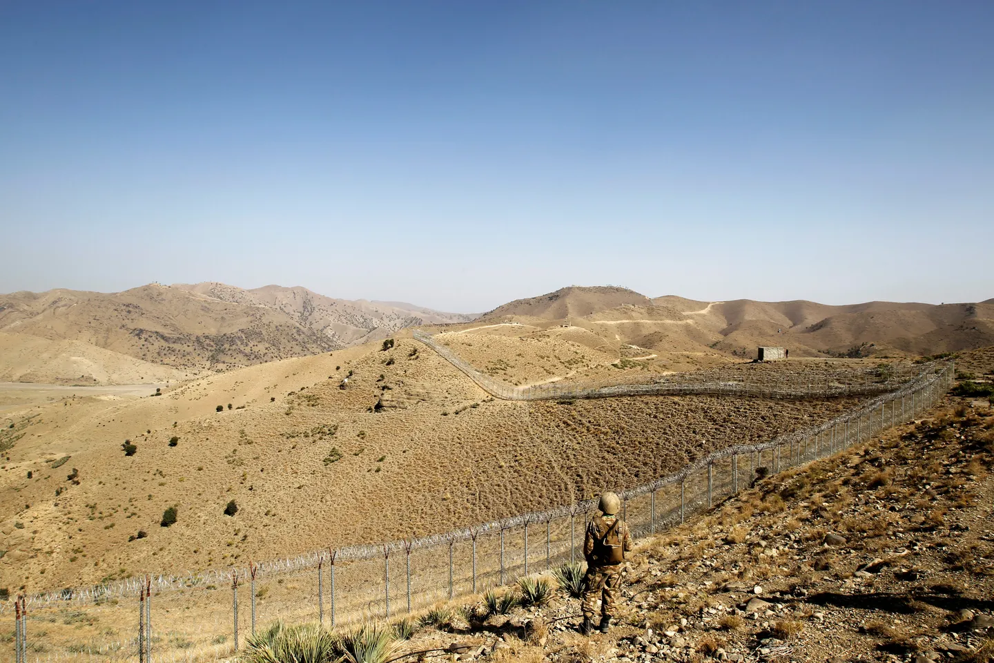 Pakistan military kills 50 terrorists along Afghanistan border: statement