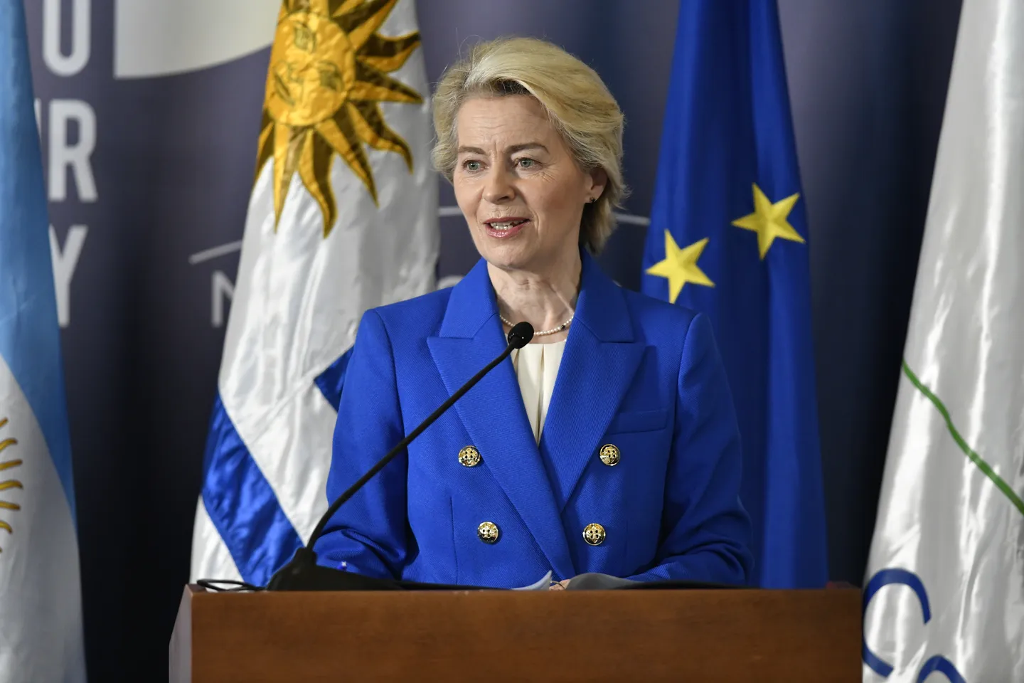 Tras 30 años, el acuerdo entre Unión Europea y Mercosur encara su prueba decisiva: ¿se concretará?