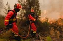 Španija se bori s požarima: Troje mrtvih, izgorjelo 115.000 hektara zemljišta