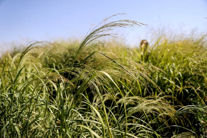 Türkiye richtet Emissionshandelssystem ein