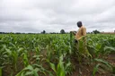 Hukumar NBRDA ta tabbatar wa ‘yan Nijeriya amincin abincin GMO