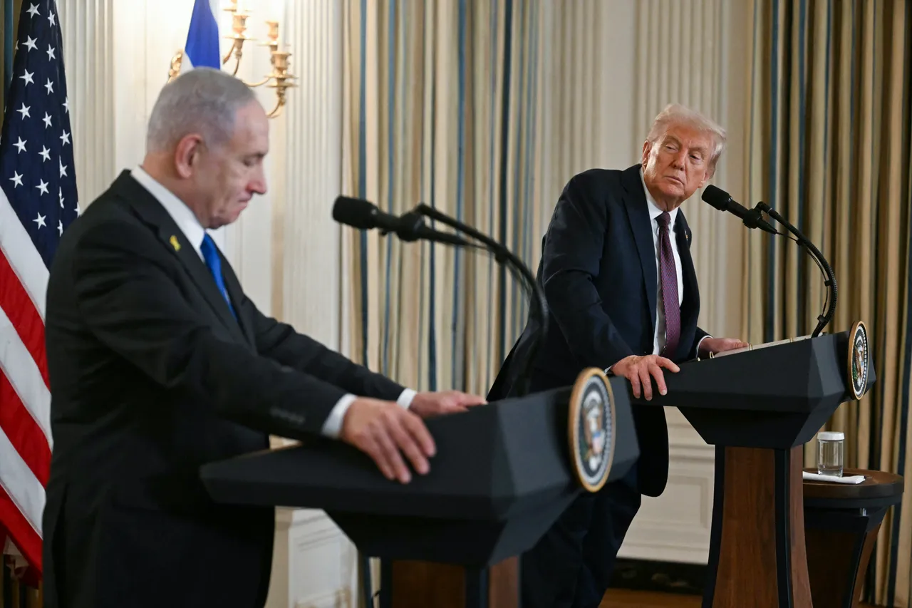 Arabische und muslimische Länder loben Trumps Gaza-Bemühungen