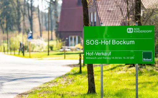 SOS Children’s Villages chief suspended amid child abuse probe