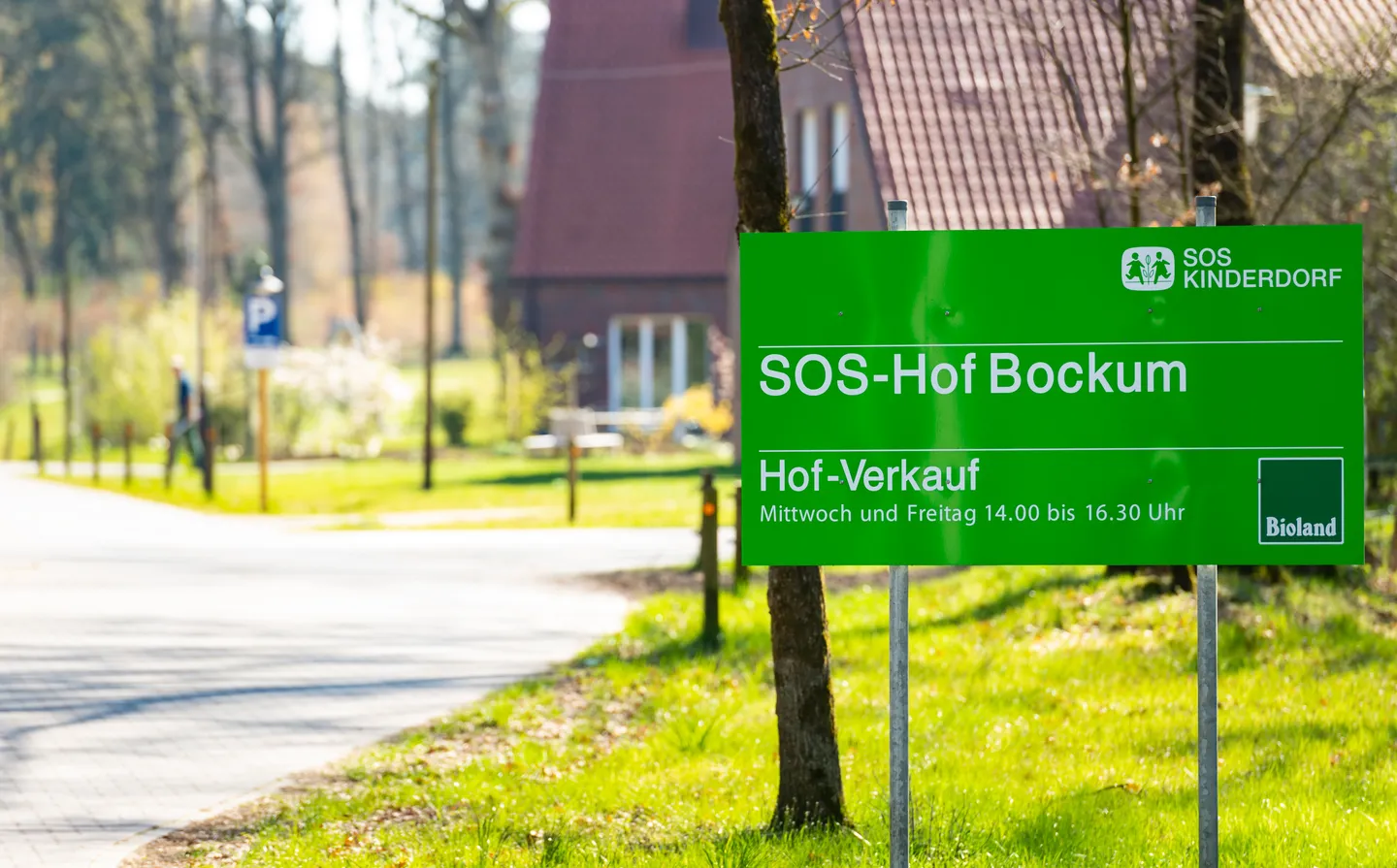 SOS Children’s Villages chief suspended amid child abuse probe