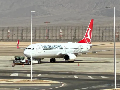 Avion s turskim i državljanima drugih zemalja iz Globalne flotile Sumud poletio iz Izraela