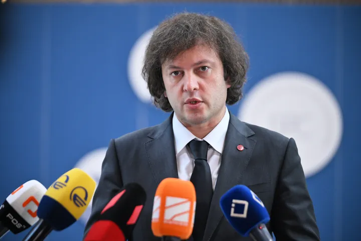 კობახიძემ განაცხადა, რომ მათ აღკვეთეს მთავრობის დამხობის მცდელობა