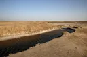 تالاب‌های گلستان زیر فشار خشکسالی؛ تهدیدی چندجانبه برای سلامت اکوسیستم