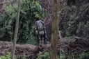 DRC na waasi wa M23 wasaini makubaliano ya kutekeleza usitishaji mapigano
