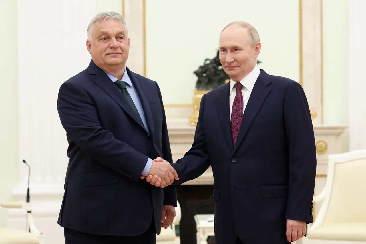 Ungarn sichert Putin Straffreiheit bei Gipfel in Budapest zu
