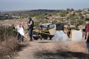 Israeli soldiers fire at Palestinian farmers during olive harvest in occupied West Bank