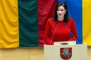 Lithuanian PM moves to dismiss defence minister amid budget dispute