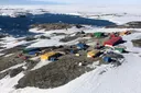 Australia waspada setelah dugaan kasus flu burung H5 di Pulau Antarktika