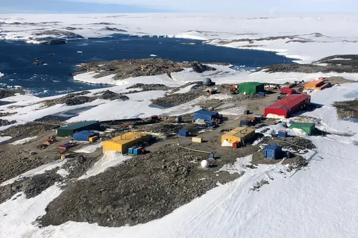Australia waspada setelah dugaan kasus flu burung H5 di Pulau Antartika