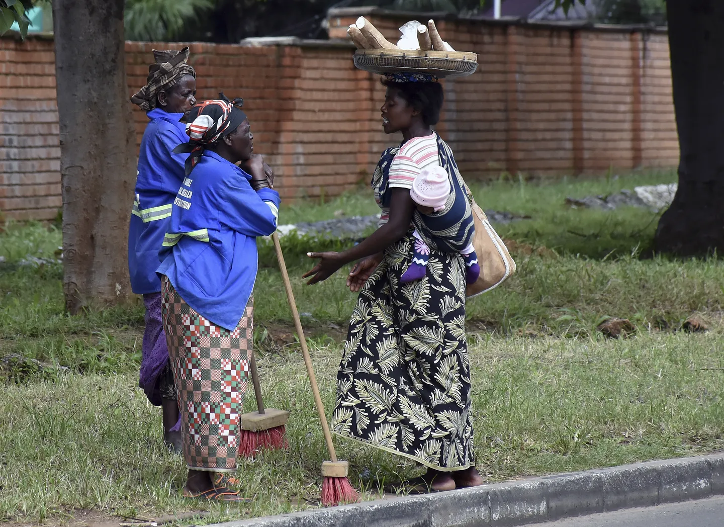 Organisation: Deutscher Agrarinvestor an Vertreibungen in Sambia beteiligt