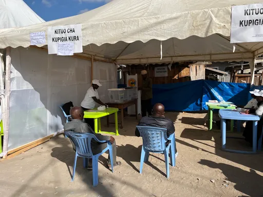 Raia wa Tanzania wapiga kura katika Uchaguzi Mkuu wa 2025