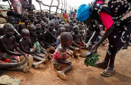 UN: Famine hits Al Fasher and Kadugli as RSF atrocities worsen crisis