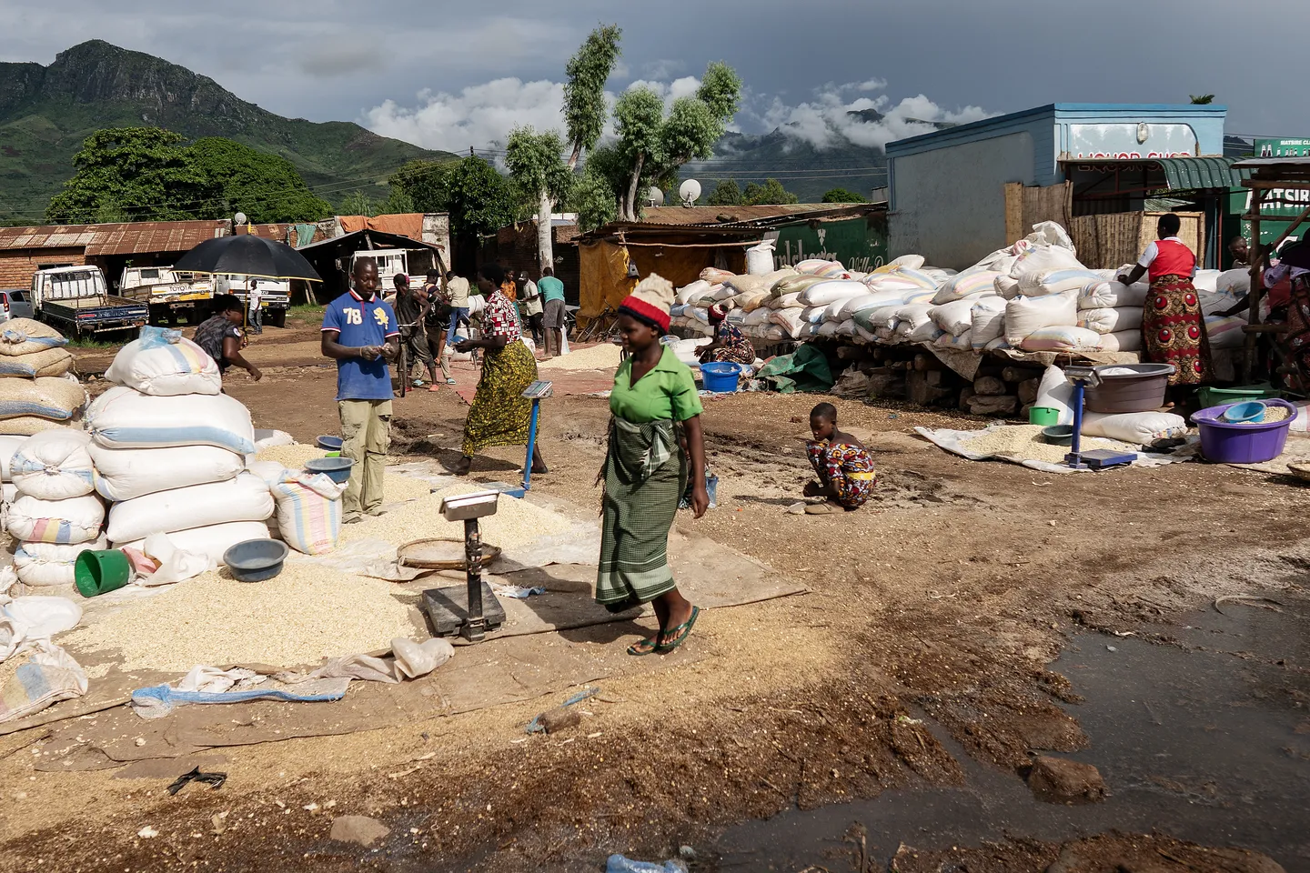 Malawi yapiga marufuku usafirishaji wa mazao kuimarisha usalama wa chakula