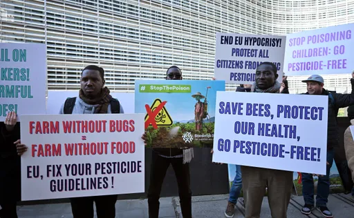 L’Europe exporte ses pesticides toxiques : l’Afrique paie le prix