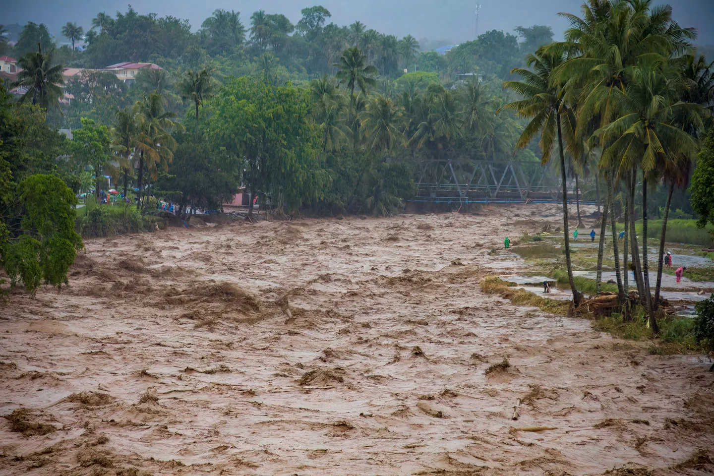 Tujuh warga tertimbun longsor di Pasaman Barat, satu berhasil diselamatkan