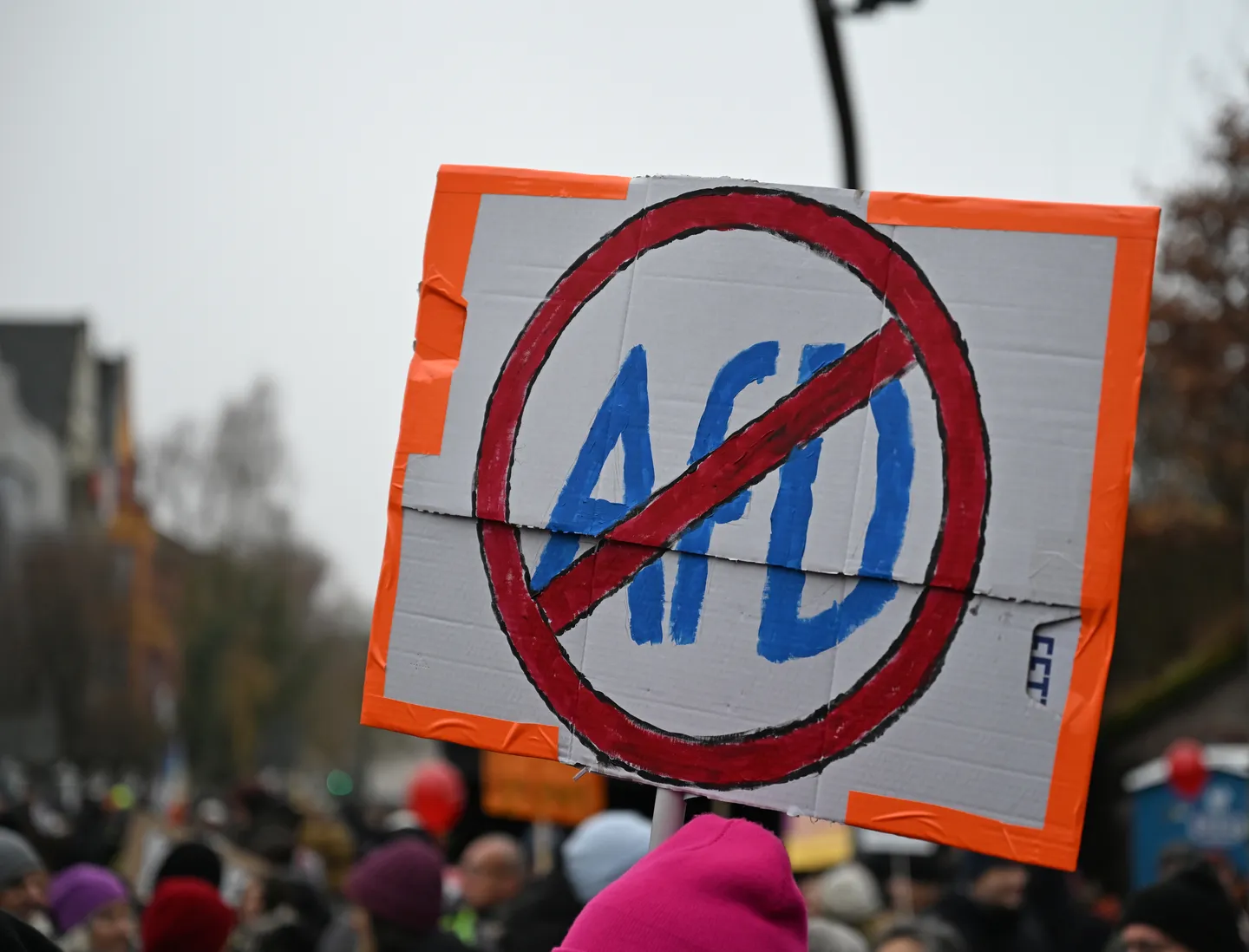 Umfrage: AfD in Thüringen auf bislang höchstem Wert