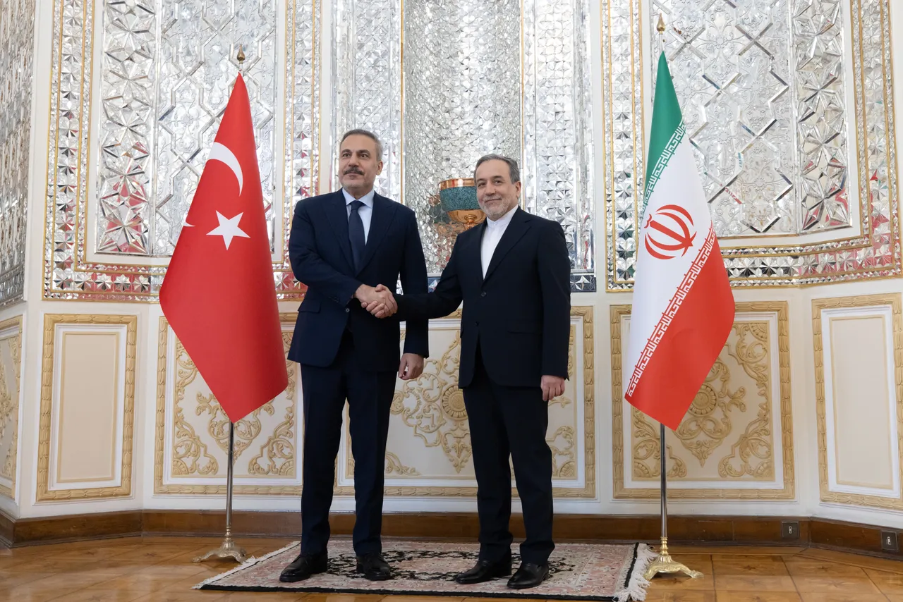 在伊朗战争中，土耳其如何作为理智的声音脱颖而出？