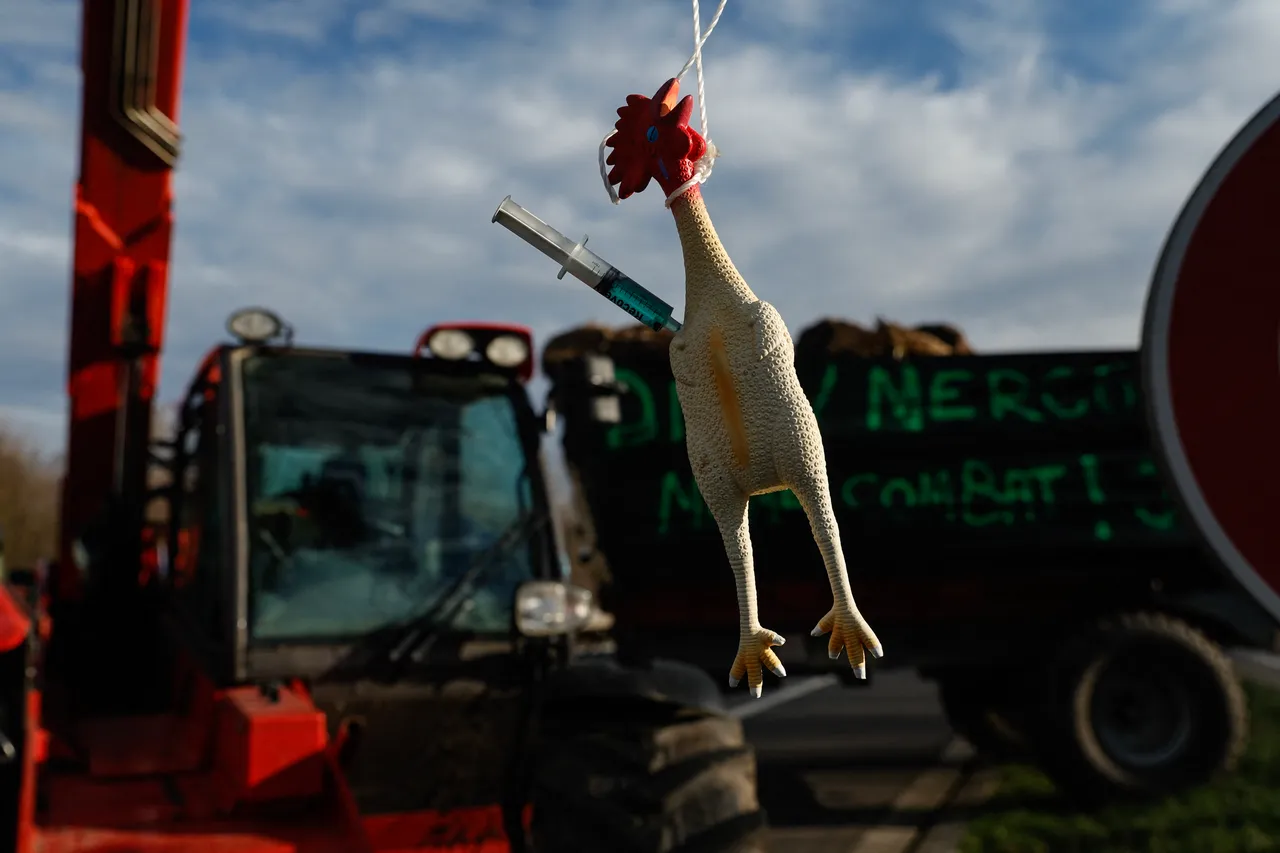 Les agriculteurs français toujours mobilisés, la peur de disparaître au ventre